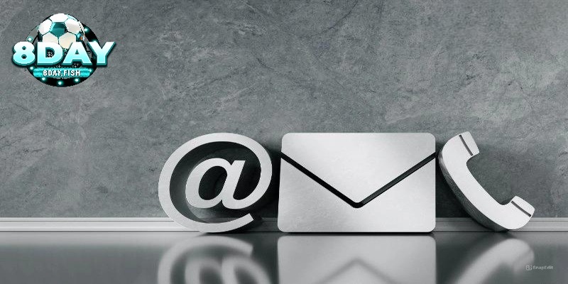 Các kênh liên hệ 8DAY nổi bật